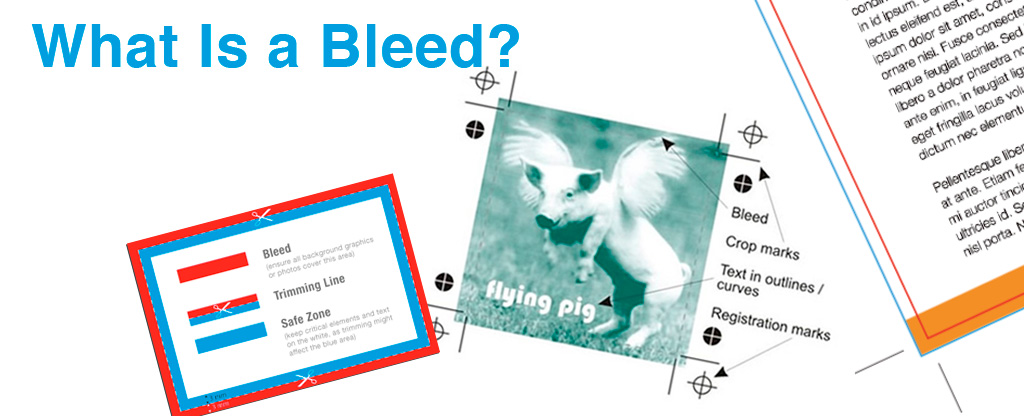 descriptive images for printing bleed, print, file setup 